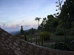Rainforest Inn
