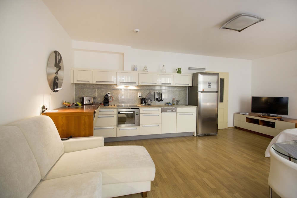 Luxurious Apartment near Prague Castle