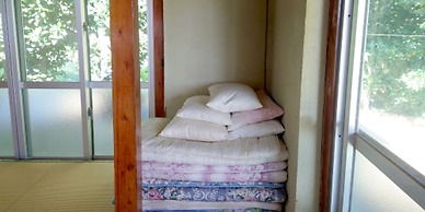 KOURIJIMA Budonoki