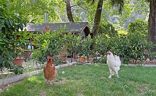 Garden Pansiyon