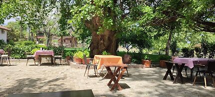 Garden Pansiyon
