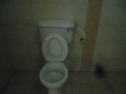 Comfort Hotel