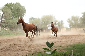 Roop Niwas Kothi