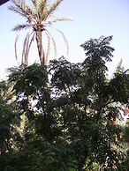 Appart avec vue Jardin-Majorelle