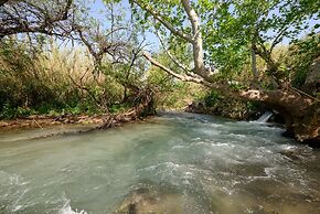 Magical in the Galilee