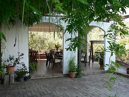 La Gabbianella e il Gatto
