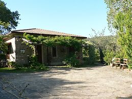 La Gabbianella e il Gatto