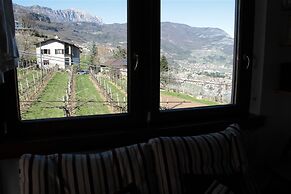 B&B La Betulla