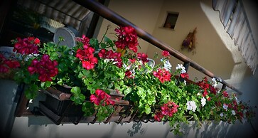 B&B La Betulla