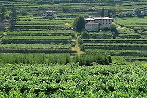 B&B La Betulla