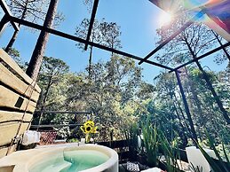 Encino House Hotel Boutique