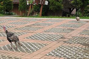 Padi Heritage Hotel