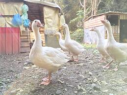 Xianshan Homestay