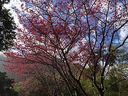 Xianshan Homestay