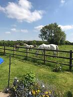 The Paddock at Peacock Farm