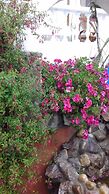Hostal Piedra Andina