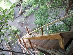 Castle Tree House