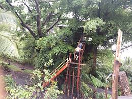 Castle Tree House