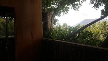 Castle Tree House