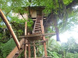 Castle Tree House