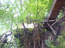 Castle Tree House