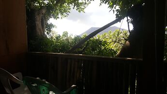 Castle Tree House