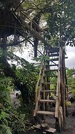 Castle Tree House