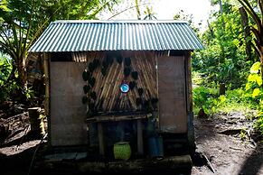 Castle Tree House