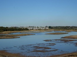 Auplands
