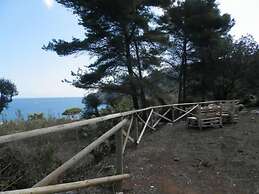 Salento D'Arare