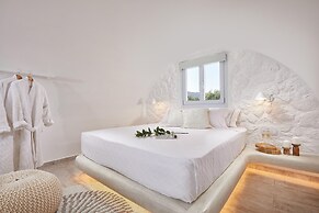 Petri Suites