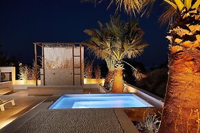 Petri Suites