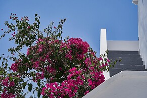 Petri Suites