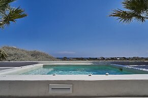 Petri Suites