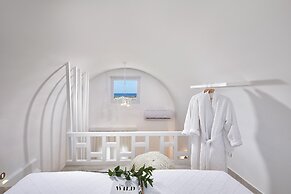 Petri Suites
