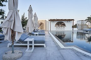 Petri Suites