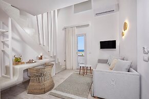Petri Suites