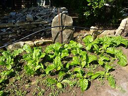 Poisson Rouge