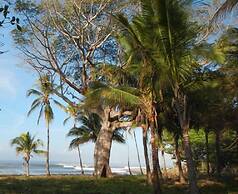 Punta Roca Surf Resort
