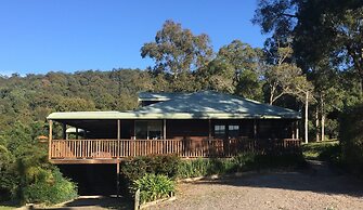 Blackwattle at Barrington Tops