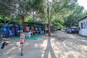 Camping  Pitsoni