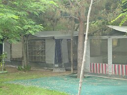 Camping  Pitsoni