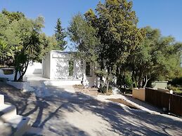 In Campagna da Nino