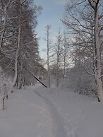 Haus Amici, Saas-Grund