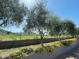 Miro' Agropoli