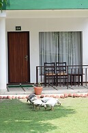Corbett Paradiso by ILILA
