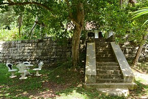 Jungle house