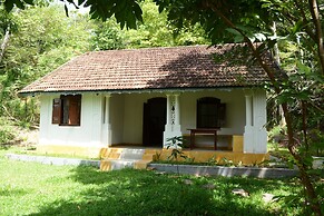 Jungle house