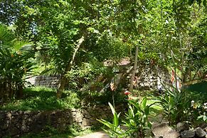 Jungle house