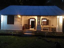 Jungle house